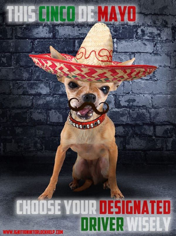 Celebrating Cinco de Mayo